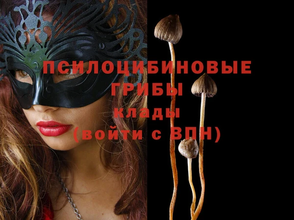 mix Краснослободск