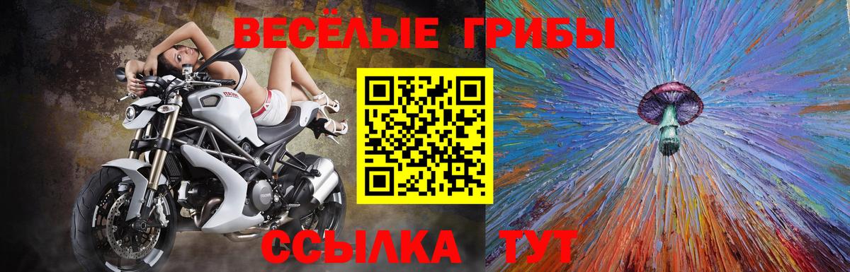 Псилоцибиновые грибы Psilocybine cubensis Евпатория